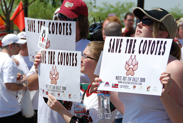 Arizona Coyotes