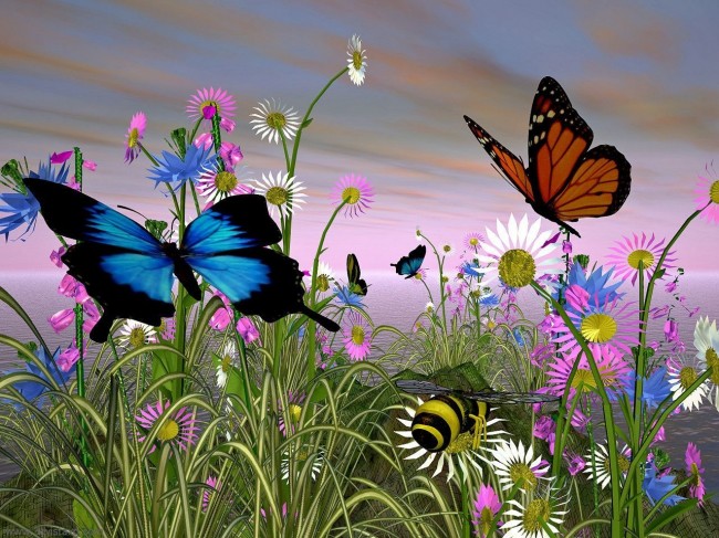 The Color of Butterfly Wings Can Evolve Quickly butterfly wings