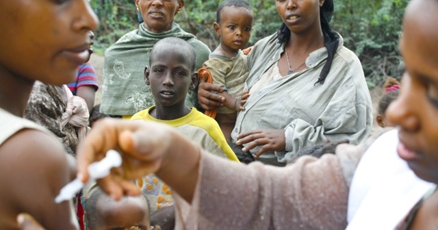 Ebola: ZMapp Seen as a Potential Cure Ebola