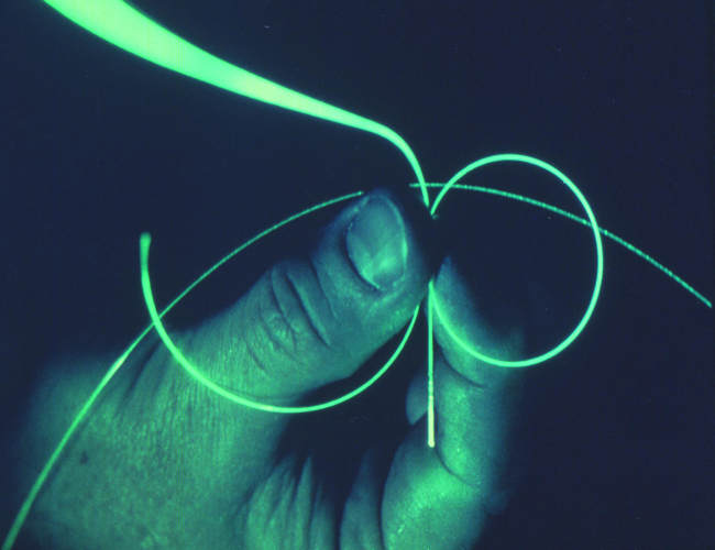 High Speed Internet Highway Has Arrived Internet