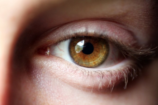 Gay Teen's Eye Donation Rejected Gay