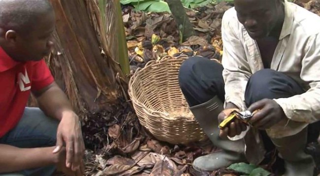 Watch Cocoa Farmers Taste Chocolate for the First Time in Viral Video