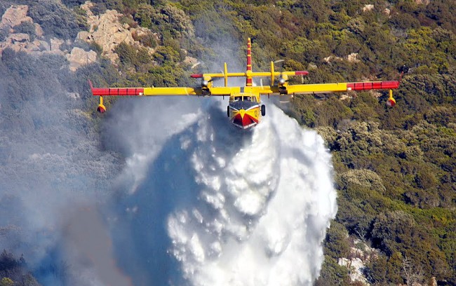ALS Ice Bucket Challenge,