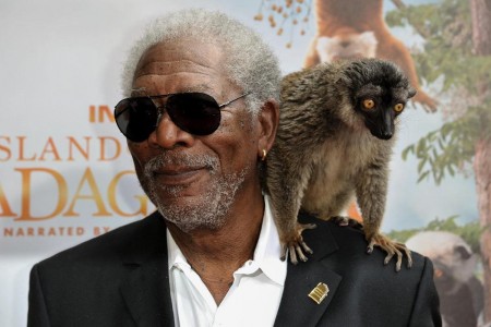 Island of Lemurs: Madagascar Morgan Freeman Adds Gravitas to Documentary Short