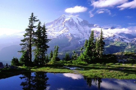 Mt Rainier