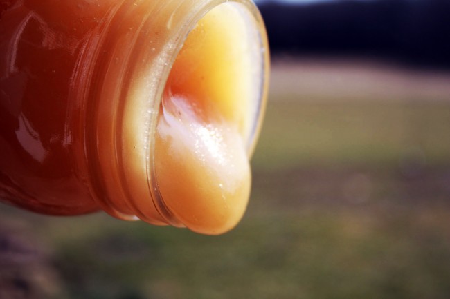 Bees Have Value in Medicine: Honey Helps Wounds Heal bees