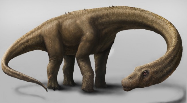 Dinosaur Believed to Be Largest Ever Lived Found in Argentina