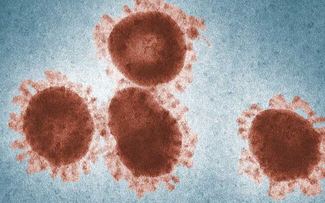 HPV: The Quiet Virus That Causes Very Loud Problems