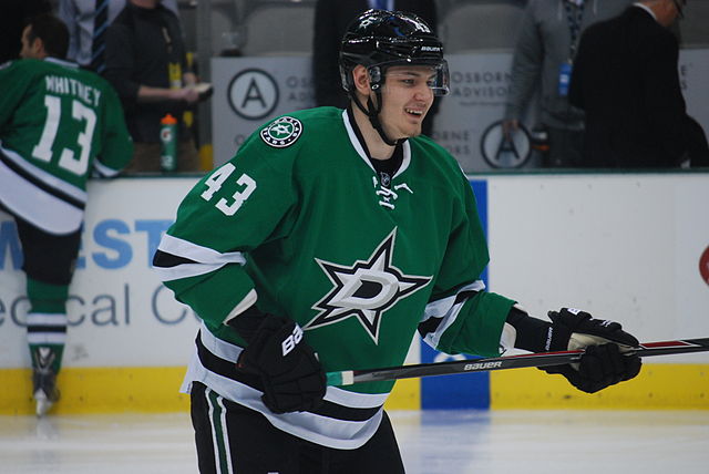 Dallas Stars 30 in 30 NHL