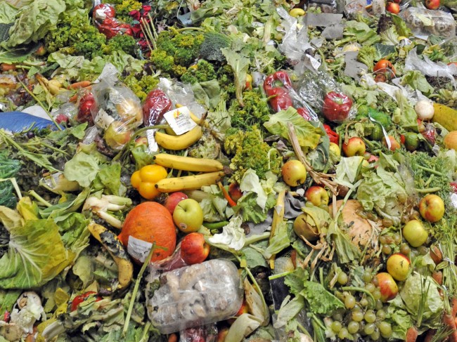 One-Third of Food is Wasted food