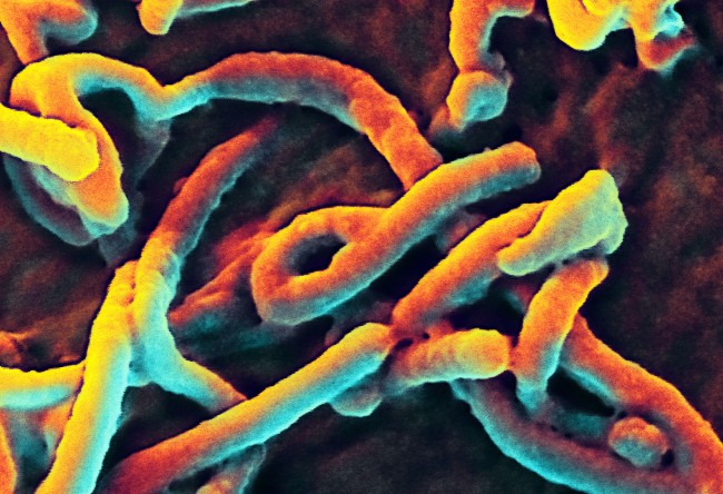 Better Business Bureau Cautions on Ebola Scams Better Business Bureau