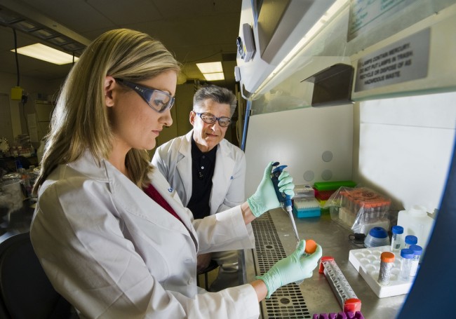 Bio-Inspired Nano-Cocoons