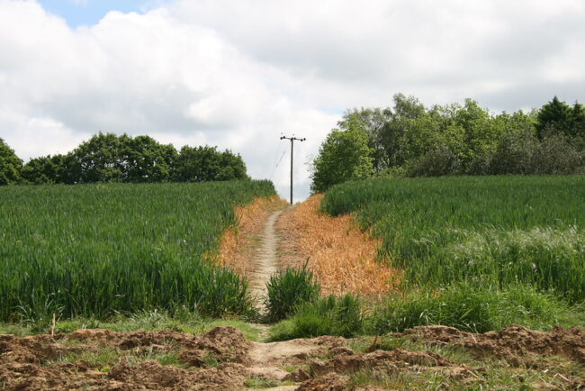 EPA Sued by Natural Defense Council Over Enlist Duo Enlist Duo