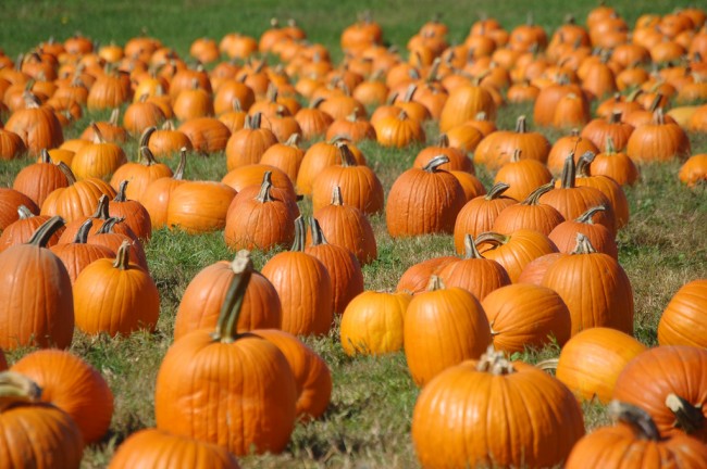 Halloween and Reformation Halloween