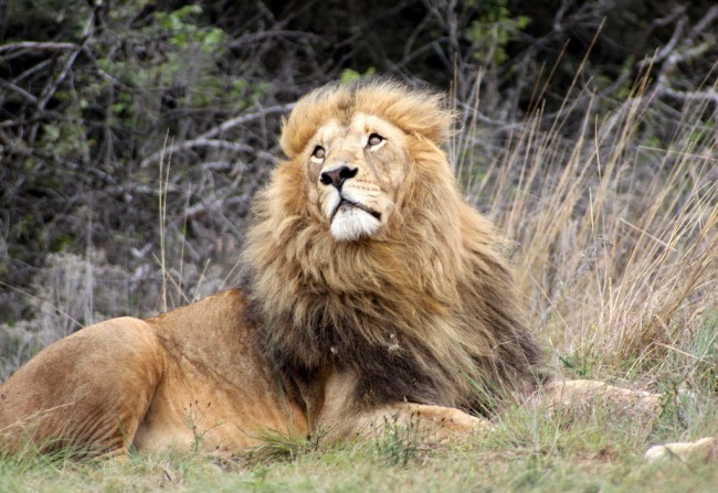 Infected Life After Death