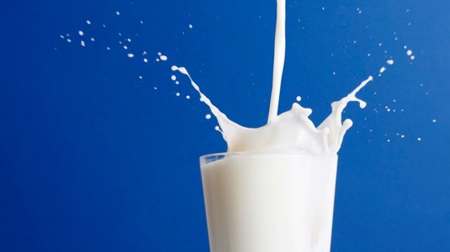Milk May Have Been Key Ingredient to the Rise of Civilizations 1 Milk May Have Been Key Ingredient to the Rise of Civilizations