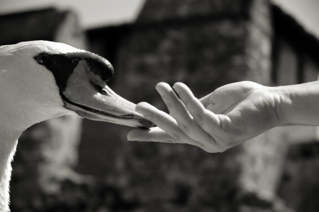 Hospital Visits Cut and Emotional Stress Eased by Physical Touch hospital