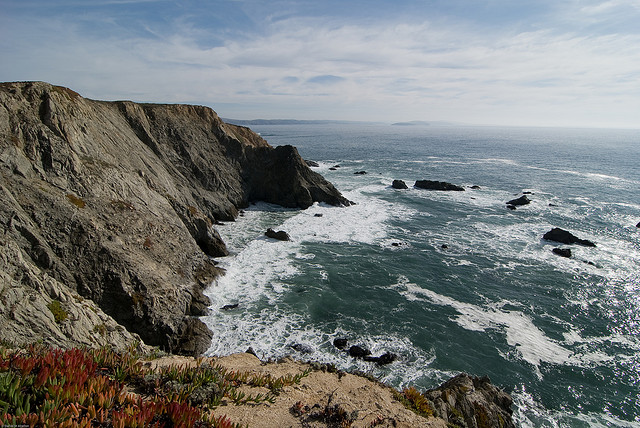 Bodega Bay
