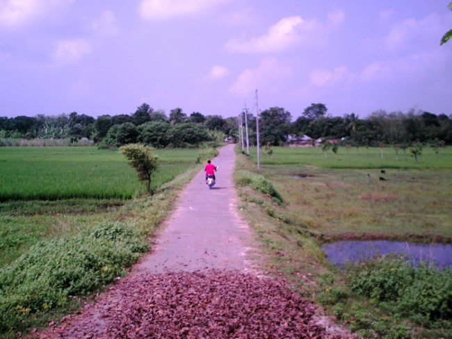 Bangladesh Hit by Blackout via Major Power Failure With India Bangladesh