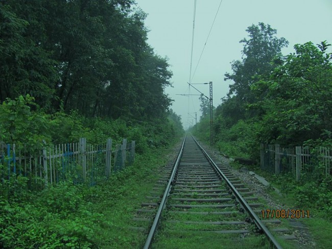 Amtrak Attack Accused Is in Custody Amtrak