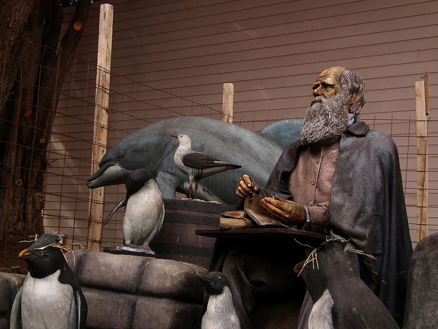 Male Idiot Theory Proven by Research Data Male Idiot Theory