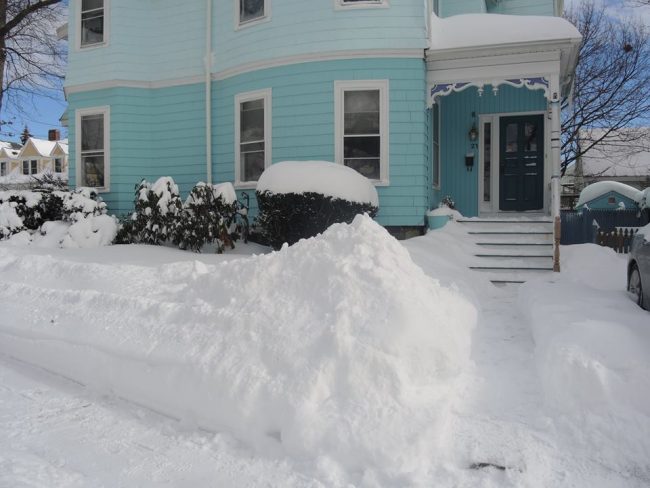 blizzard