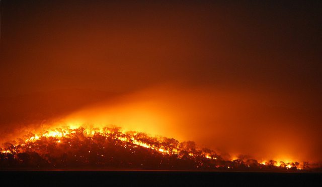 Bushfires