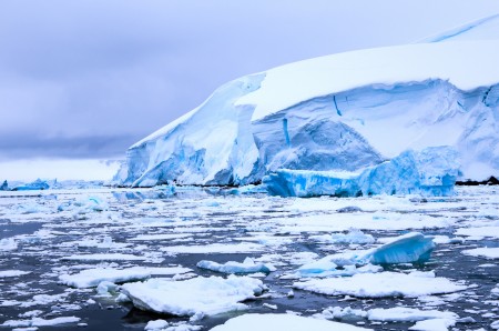 antarctic