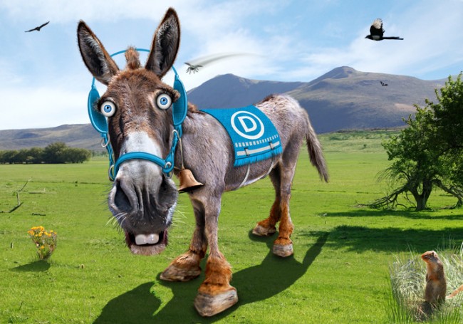 Democrats Look for Presidential Candidate Democrats