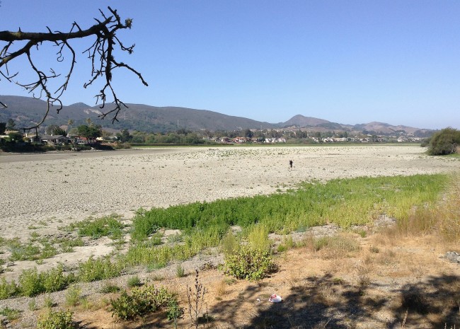How California's Constant Drought Will Affect the World california