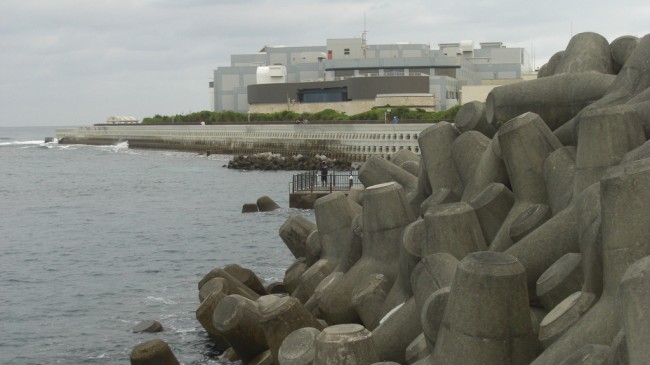 Proposed 21st Century Great Wall of Japan Vital for Survival japan