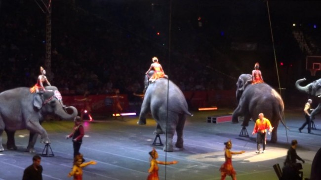 Ringling Bros