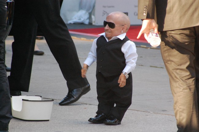Verne Troyer
