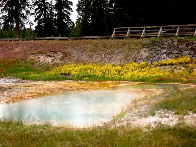 Yellowstone National Park