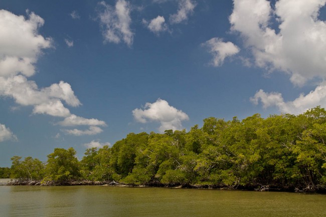 Earth Day Speech by Obama Addresses Climate Change Earth Day