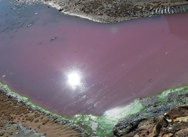 Earth Day, the Environment and Climate Change and the Last Chance climate change