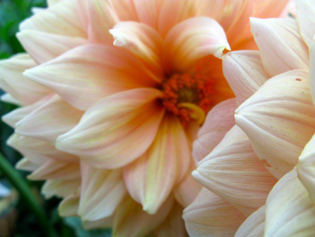 Everybody Loves Raymond