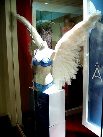 NASA Spacesuits and Victoria Secret Wings NASA