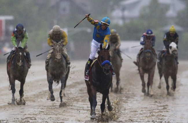American Pharoah Wins Preakness Stakes and Goes for Triple Crown Victory American Pharoah