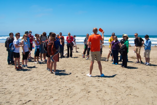 'The Amazing Race': A Reality Show with a Hit of Adrenaline The Amazing Race