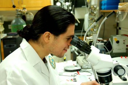 DDT Pesticide Banned for Over 40 Years but Women Reaping Consequences DDT