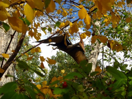 Jurassic World Broken Down by Paleontologist Jurassic World