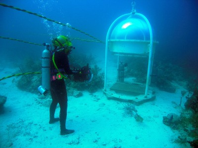 Microsoft Corporation