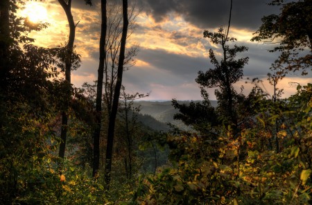 Prison Inmate Dies After Assault, Investigation Ongoing prison