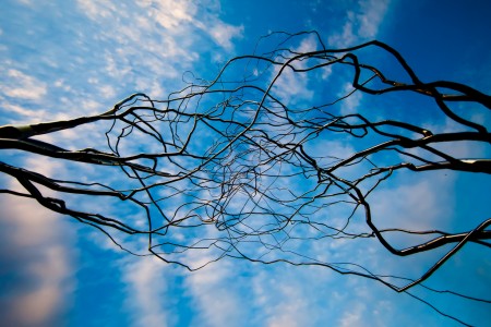 Texas Man Shot and Robbed While Washing Car texas