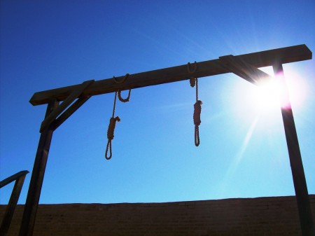 The Gallows
