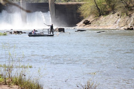 Shark Attacks Terrorizing the Carolinas Shark