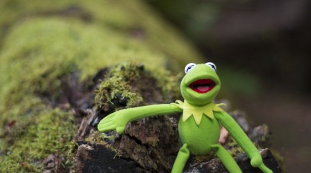 Kermit