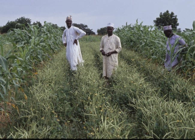 30 Killed in Nasarawa Feud Between Fulani Herdsmen and Agatu Farmers Nasarawa