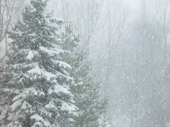 Historical Blizzard to Hit 15 States Blizzard